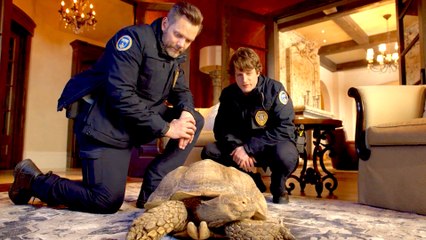 FOX's Animal Control Comes to the Rescue