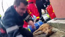 Bombero salva la vida de un perro usando primeros auxilios