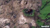 Vacas atrapadas después del Terremoto de Nueva Zelanda