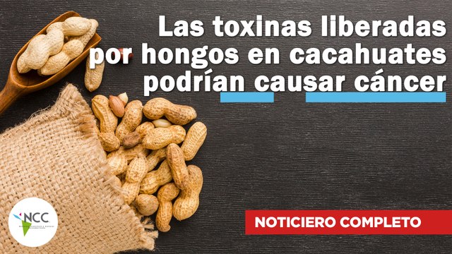 Las toxinas liberadas por hongos en cacahuates podrían causar cáncer | 640 | 25 - 31 de marzo 2024