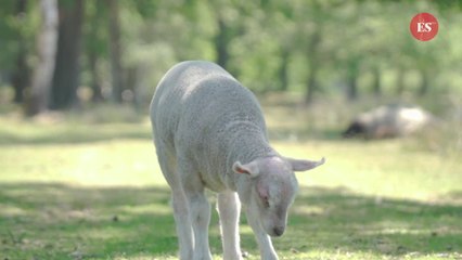 When is Easter 2024 and when are the school holidays?