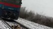 Dog Protecs His Injured Companion From Trains