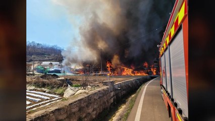 경북 김천 양계장 불...가축 피해 없어 / YTN