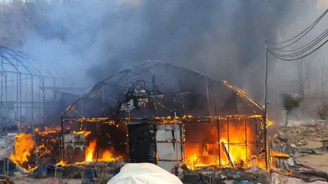 블루베리 농장 화재 산불로 번져...1시간 반 만에 진화 / YTN