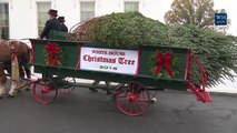 First Lady Michelle Obama Welcomes the Official White House Christmas Tree