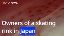 pista de patinaje japonesa causa alboroto por la congelación de 5.000 peces muertos en el hielo