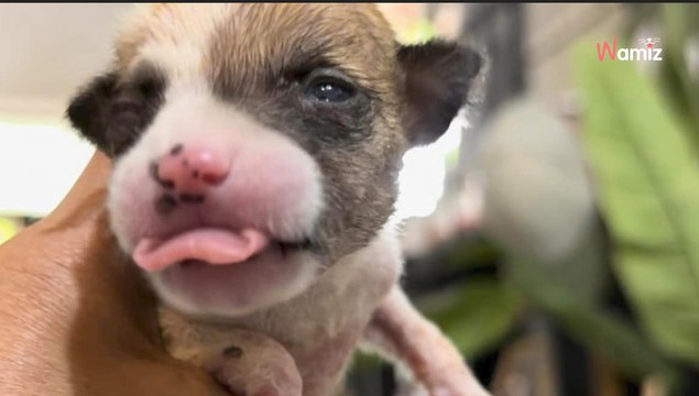 La sortie vélo des touristes vire au cauchemar quand ils découvrent un colis suspect près d'un pont
