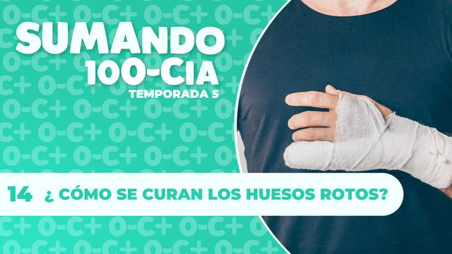 14 ¿CÓMO SE CURAN LOS HUESOS ROTOS?