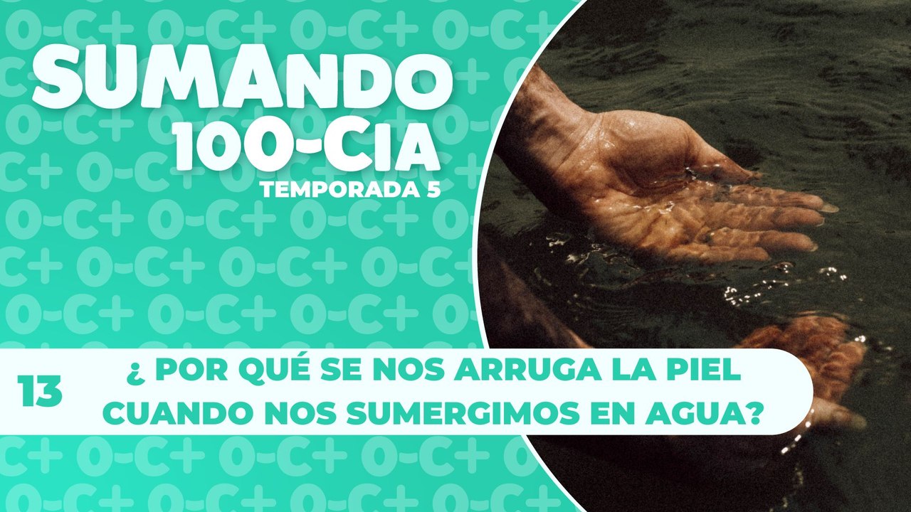 13 ¿POR QUÉ SE NOS ARRUGA LA PIEL CUANDO LA SUMERGIMOS EN EL AGUA?