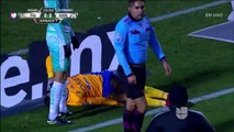 Tigres vs Santos - Escalofriante lesión de Luis Martínez