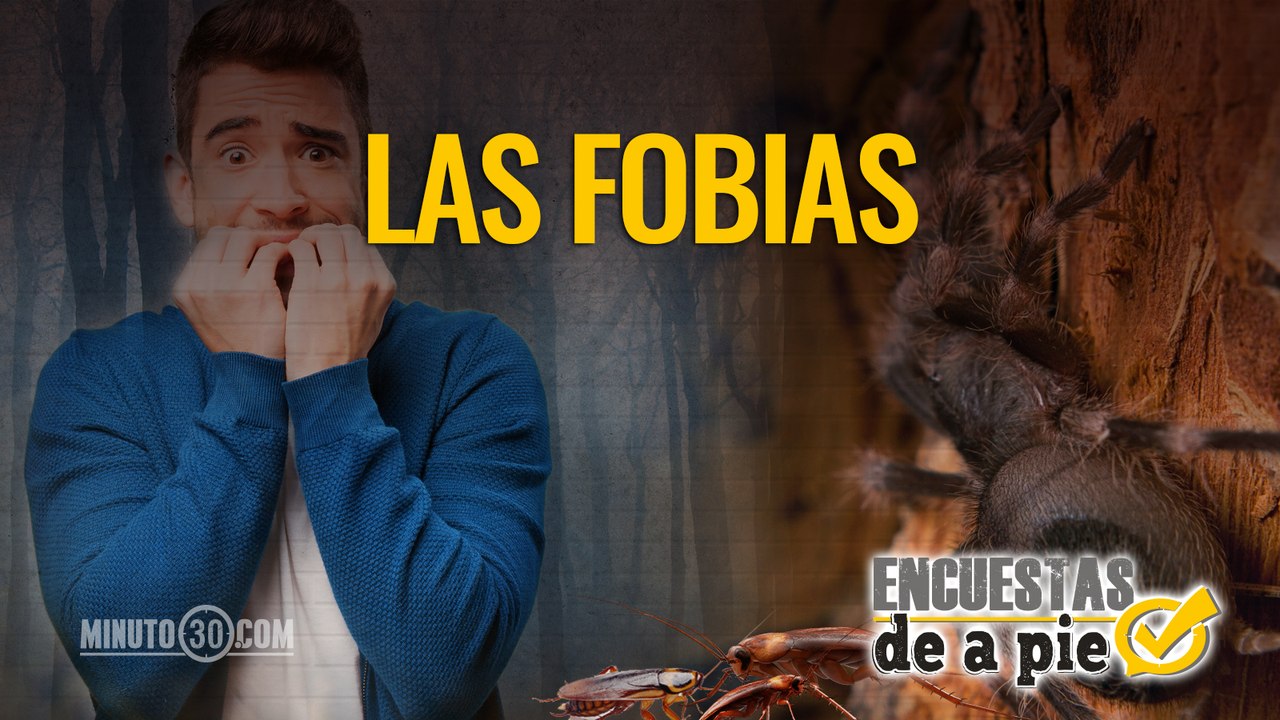 Encuestas de a Pie: Las Fobias