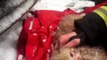 #VIRAL - Bomberos rescatan gatito de morir quemado en Moscú