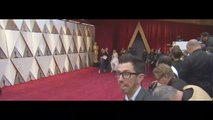 Estrellas llegan a la alfombra roja de los Premios Oscar 2017