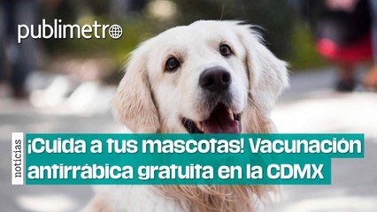 ¡Cuida a tus michis y lomitos! Vacunación antirrábica gratuita en la CDMX