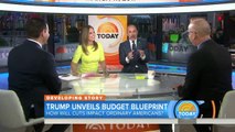 President Donald Trump's Budget Is ‘Not Going To Pass,’ Analyst Predicts