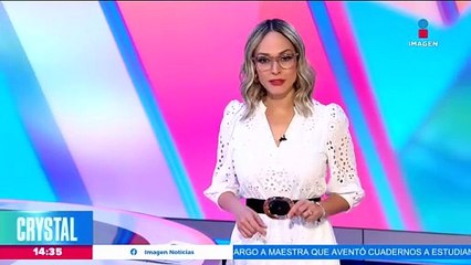 El Partido Verde busca combatir el uso de plásticos