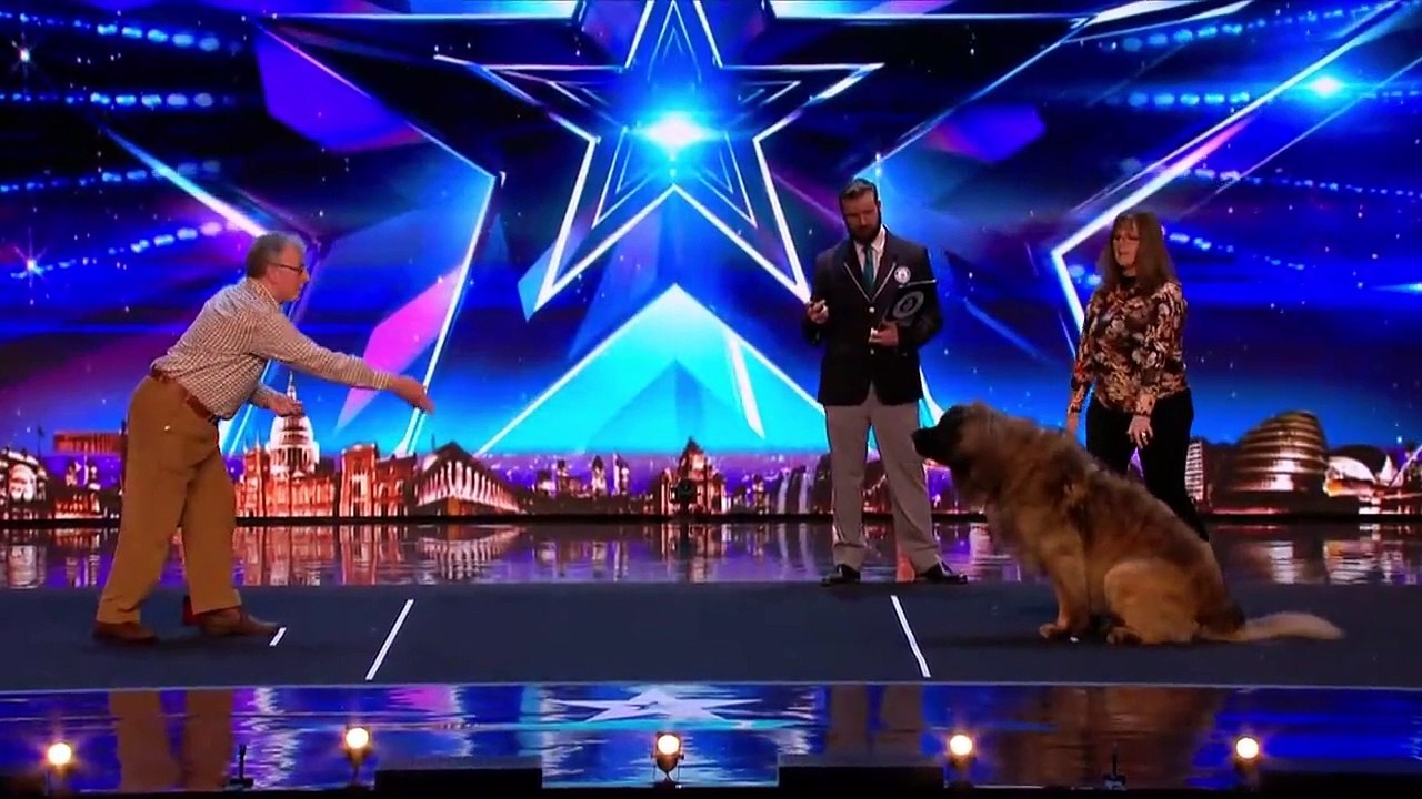 Hagrid the dog catches sausages to set record on Britain's Got Talent