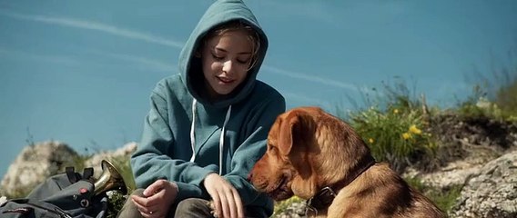 Underdog (2014) stream deutsch anschauen