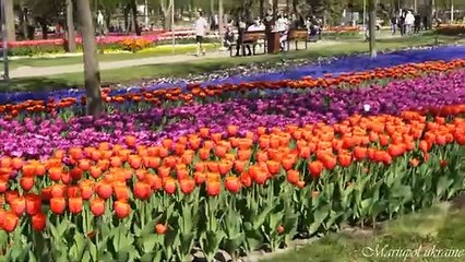 The Most wonderful Gardens in the World - 4K