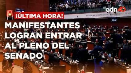 ¡Última Hora! Manifestantes logran entrar al Pleno del Senado donde se discute la Reforma Judicial