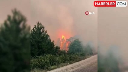 Bolu'da orman yangını