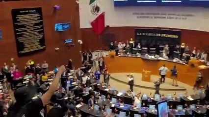 Manifestantes irrumpen en Senado de México y frenan debate de reforma judicial