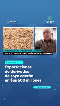 Exportaciones de derivados de soya caerán en $us 600 millones