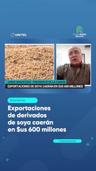 Exportaciones de derivados de soya caerán en $us 600 millones
