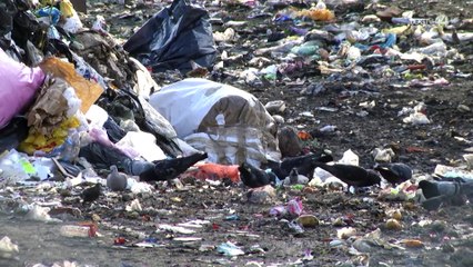 Lemus pide a municipios darle la espalda a Caabsa y sumarse al "Siapa de la basura"