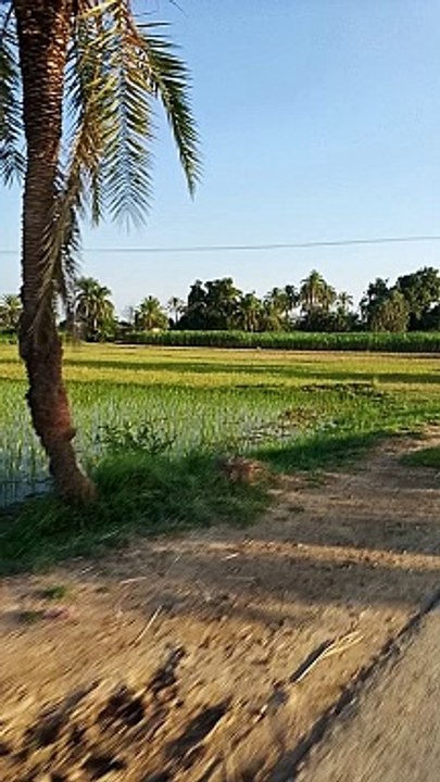 village life