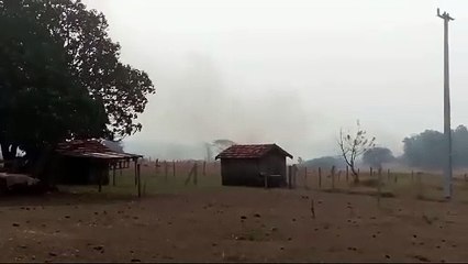 Incêndio ambiental causa destruição em Icaraíma na tarde desta terça-feira
