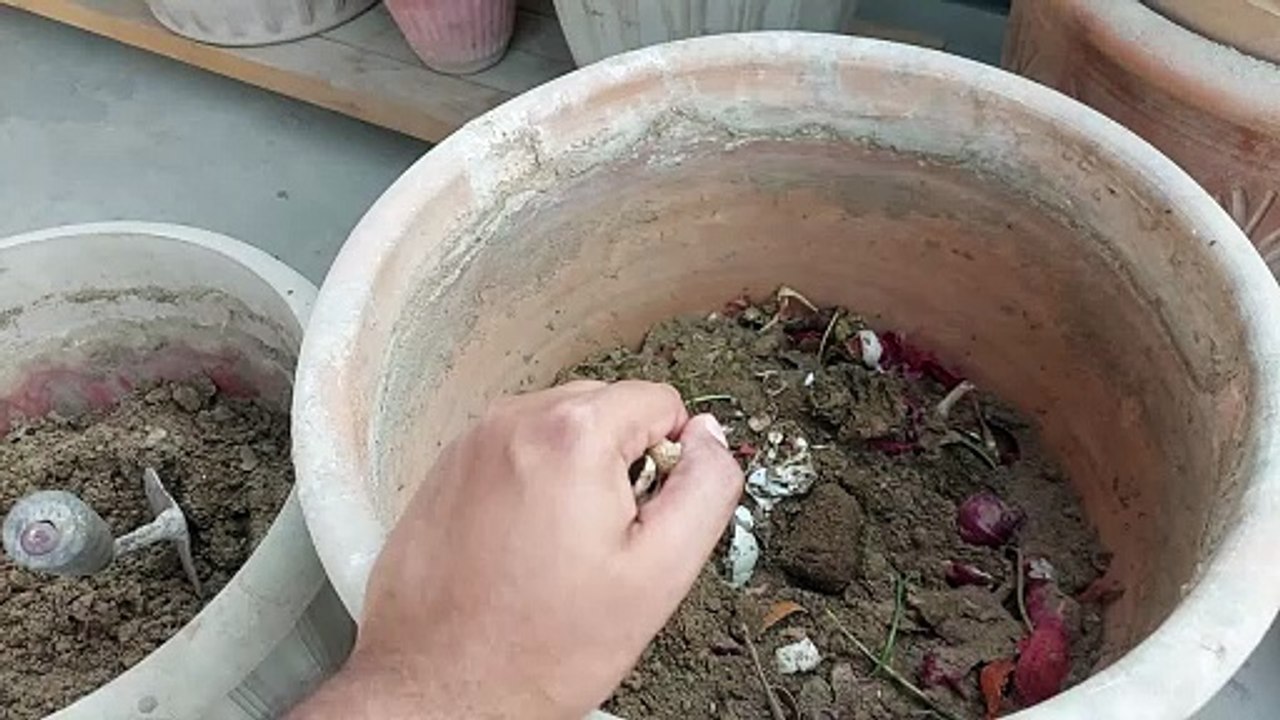 homemade compost from kitchen waste l रसोई के कचरे से घर का बना खाद l  kachare se ghar ka bana khaad