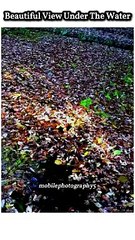 I Capture video under the water through my mobile phone