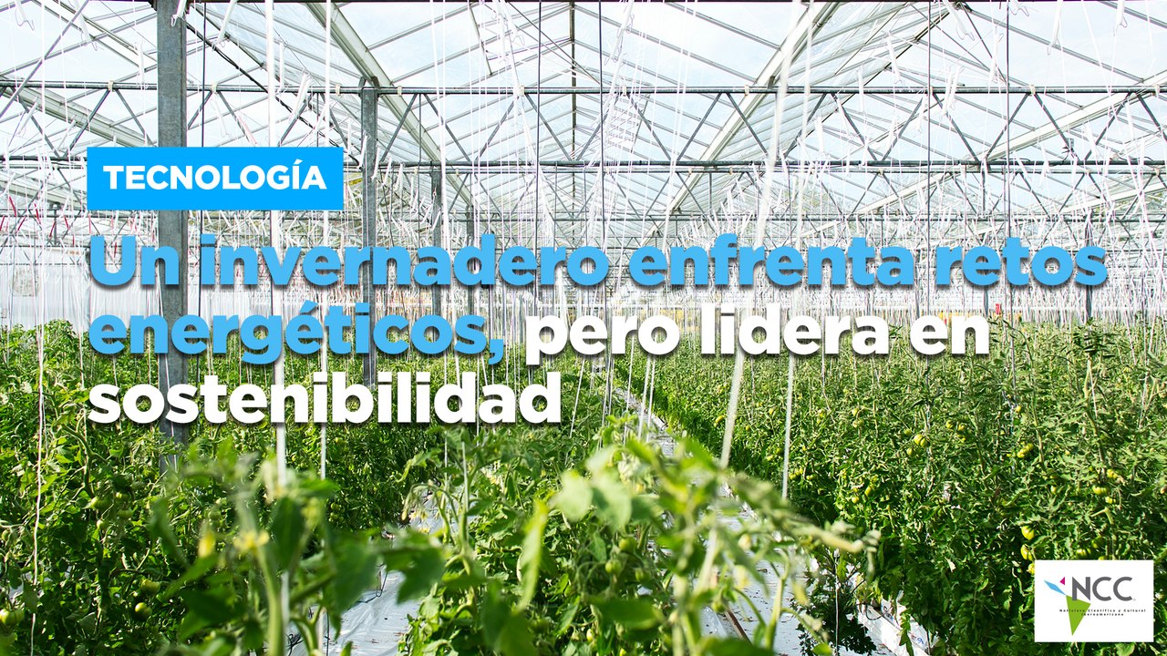 Un invernadero enfrenta retos energéticos, pero lidera en sostenibilidad