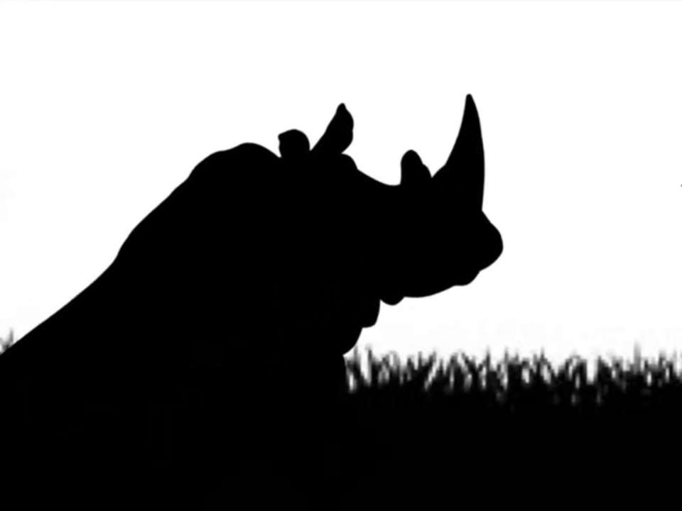 Sesame Street - Danger and Crashes Fail in the Shadows - Rhino crashes all (Super Readers version)