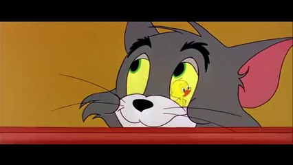 Funny Comedy Tom And Jerry Videos