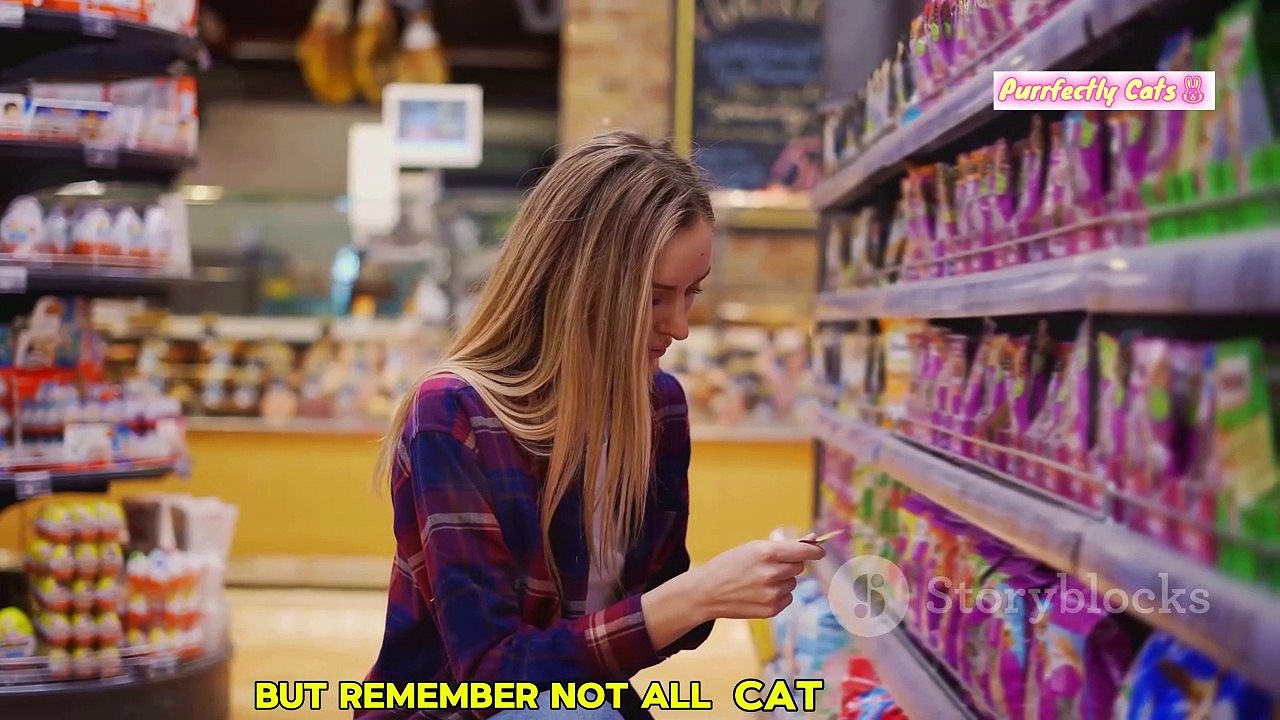 Cat Diet 101 The Best Foods to Keep Your Feline Healthy and Happy