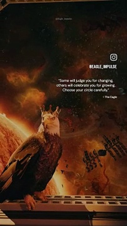 eagle_implusion (4)