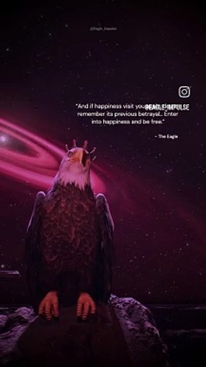 eagle_implusion (1)