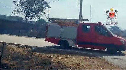 Incêndio florestal ameaça residências no Lago Sul