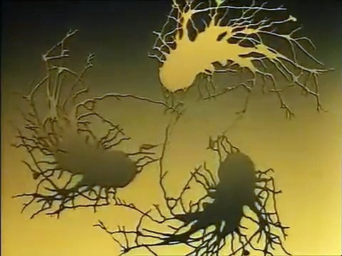 Tripods | show | 1984 | Official Trailer