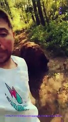 U S A most famous short video Mr. Beast hindi dub | image collection 27