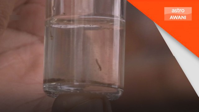 Kes demam denggi menurun, 4 kematian dilaporkan