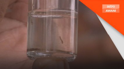 Kes demam denggi menurun, 4 kematian dilaporkan