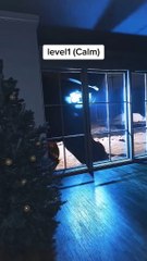 Phobia test megalophobia #fear #horror #viralvideo #phobia #minrset