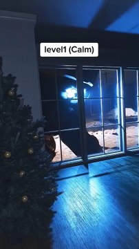 Phobia test megalophobia #fear #horror #viralvideo #phobia #minrset