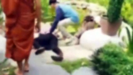 องค์ปู่แสดงอิทธิฤทธิ์! คลิปคนสวนเจอสิงร่างเลื้อยทั่ววัด 🐍