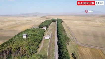 Bozkırın ortasındaki 'vahada' Eylül güzelliği