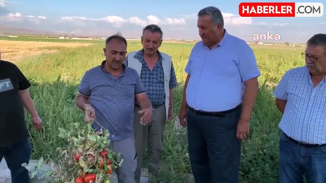 CHP Milletvekili Gürer: Çiftçilerin Borçları 2027'ye Kadar Ertelenmeli