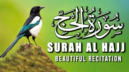 Surah Al-Hajj | سورة الحج | Full Heart touching recitation | Calming Quran |Quran